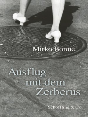 cover image of Ausflug mit dem Zerberus